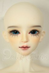 MYOU DOLL/Aron A-26-08-24-351-NY-ZA