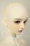 画像2: MYOU DOLL/Aron A-26-08-24-351-NY-ZA (2)