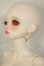 画像3: Asleep Eidolon/困困 A-26-08-24-353-NY-ZA (3)