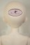画像4: Asleep Eidolon/1/4 DingDang A-26-08-24-354-NY-ZA (4)
