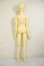 画像6: BJD CROBI/R-line ZION A-26-08-31-105-NY-ZA (6)