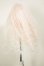 画像2: 4inch/ウィッグ A-26-09-14-138-NY-ZA (2)