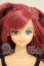 画像1: ジェニー/ジェニー本体+衣装 A-26-08-31-235-NY-ZA (1)