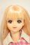 画像1: ジェニー/ジェニー本体+衣装 A-26-08-31-236-NY-ZA (1)
