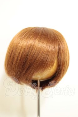 画像1: 9-10inch/ウィッグ　CROBI製 A-26-08-31-209-NY-ZA