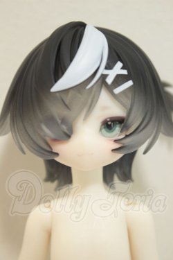画像1: ニャニャニャ次元/白黒猫　ZERO A-26-08-31-255-NY-ZA