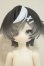 画像1: ニャニャニャ次元/白黒猫　ZERO A-26-08-31-255-NY-ZA (1)