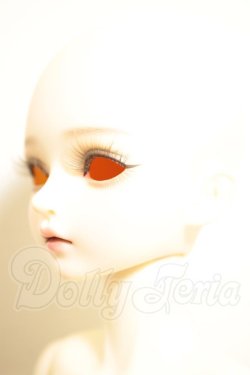 画像3: Myoudoll /Delia 1/4 A-26-08-31-313-NY-ZA