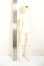 画像5: Myoudoll /Delia 1/4 A-26-08-31-313-NY-ZA (5)