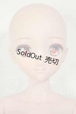 画像2: DDdyF3ボディ/DDH-09ヘッド　ドリームチョイス A-26-09-07-102-NY-ZA