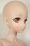 画像3: DDdyF3ボディ/DDH-09ヘッド　ドリームチョイス A-26-09-07-102-NY-ZA (3)