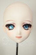 DDH-09/カスタムヘッド A-26-09-07-106-NY-ZA