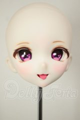 DDH-10/カスタムヘッド A-26-09-07-103-NY-ZA