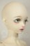 画像2: Asleep Eidolon/Jane A-26-09-07-102-NY-ZA (2)