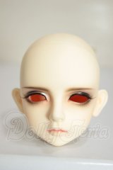LUTS/Senior 65Delf BORY　ヘッド A-26-09-07-200-NY-ZA