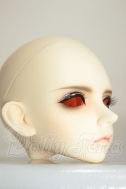 画像2: LUTS/Senior 65Delf BORY　ヘッド A-26-09-07-150-NY-ZA
