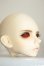 画像2: LUTS/Senior 65Delf BORY　ヘッド A-26-09-07-150-NY-ZA (2)