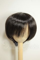 9-10inch/ウィッグ A-26-09-07-211-NY-ZA