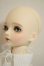 画像3: MYOU DOLL/女の子DELIA A-26-10-05-268-NY-ZA (3)