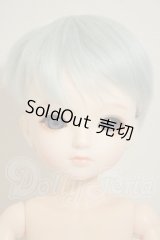 アナと雪の女王 1/4サイズドール A-26-09-07-363-NY-ZA