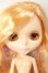 画像3: ネオブライス/カスタム A-26-09-14-178-NY-ZA (3)