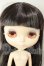 画像1: ネオブライス/カスタム A-26-09-14-177-NY-ZA (1)
