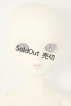 画像1: BlueFairy/TinyFairy:サラン A-26-09-14-180-NY-ZA