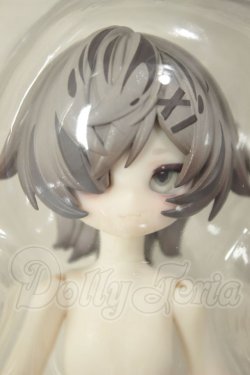 画像1: ニャニャニャ次元/キジトラ A-26-09-14-175-NY-ZA