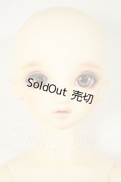画像1: SD/まい：スタンダードモデル A-26-09-14-112-NY-ZA