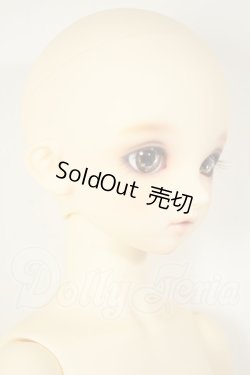 画像2: SD/まい：スタンダードモデル A-26-09-14-112-NY-ZA