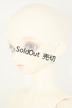 画像3: SD/まい：スタンダードモデル A-26-09-14-112-NY-ZA