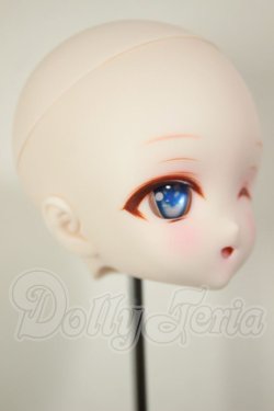 画像2: DDH-28/カスタムヘッド A-26-09-14-121-NY-ZA
