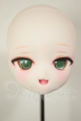 DD/DDH-29　カスタムヘッド A-26-09-14-119-NY-ZA