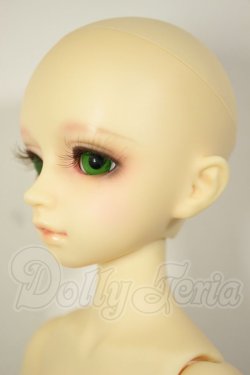 画像3: SDM女の子/フルチョイスF-20 A-26-09-14-253-NY-ZA