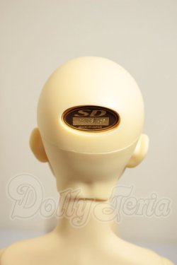 画像4: SDGr男の子/支倉常長 A-26-09-14-352-NY-ZA