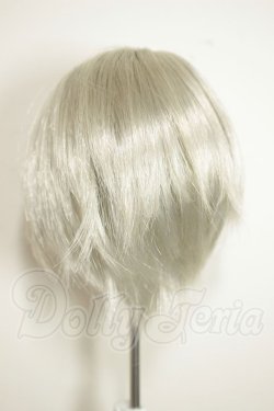 画像2: 9-10inch/ウィッグ A-26-09-14-377-NY-ZA