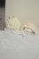 画像2: DEAR MINE/Pettit Roll Set A-26-09-21-272-NY-ZA (2)
