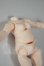 画像3: ねんどろいどどーる/archetype：Woman　ボディ A-26-09-21-105-NY-ZA (3)
