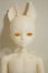 画像1: elfin store EnS /ノアs A-26-09-21-356-NY-ZA (1)