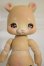 画像1: COCORIANG / Poi  A-26-09-21-308-NY-ZA (1)