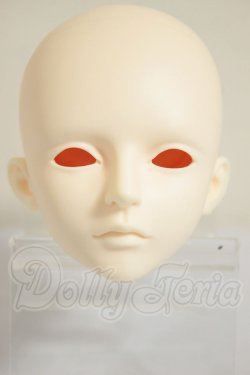 画像1: LUTS/Senior65 Delf XYLON　ヘッド A-26-09-21-306-NY-ZA