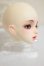 画像2: ANGELL STUDIO DOLL/?? ヘッドのみ A-26-09-21-185-YB-ZA (2)