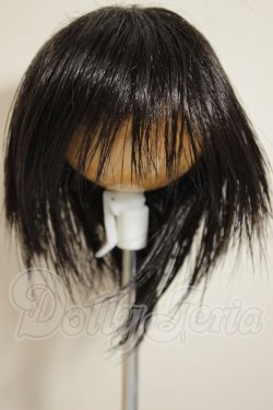 画像1: 9-10inch/ウィッグ A-26-09-21-176-NY-ZA