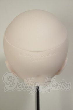 画像4: DDH-01/カスタムヘッド A-26-09-21-111-NY-ZA