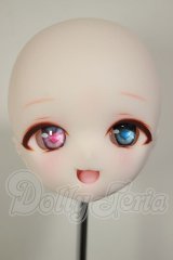 DDH-01/カスタムヘッド A-26-09-21-110-NY-ZA