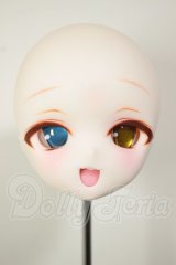 DDH-01/カスタムヘッド A-26-09-21-109-NY-ZA