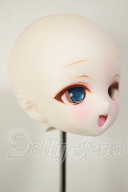 画像2: DDH-01/カスタムヘッド A-26-09-21-109-NY-ZA