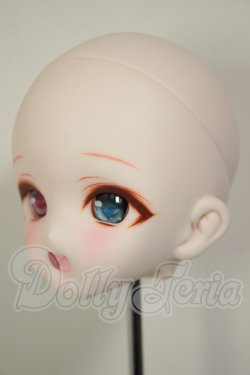 画像3: DDH-10/カスタムヘッド A-26-09-21-114-NY-ZA