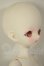 画像2: 【DOLK×MAYDOLL】檸檬猫 - おおやまねこ ver. Limited A-26-09-21-107-NY-ZA (2)