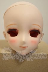 DDH-09/カスタムヘッド A-26-09-21-213-NY-ZA